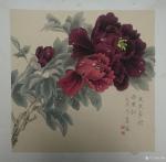 王嵩淼日志-雨中看牡丹，风雨中的牡丹也是翩翩起舞，花香依然弥漫，它低着头【图2】