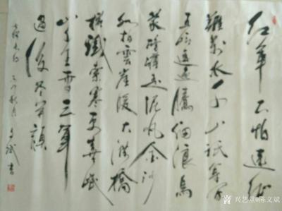 陈文斌日记-赞美红军长征淡然面对困难，乐观积极向上的革命主义精神。【图1】