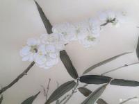 艺术家马晓薇日记:南齐谢赫六法一曰气韵生动，二曰骨法用笔，三曰应物象形，四曰随【图0】