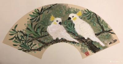 石广生日记-国画花鸟画《玄凤鹦鹉》扇面
每逢早餐时分，便有玄凤鹦鹉不速而访索食，日久如友，【图1】
