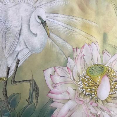 汪林日记-完成工笔花鸟画《荷花白鹭》，尺寸60x60cm，请欣赏，欢迎订制【图2】