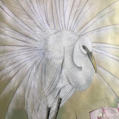 汪林日记-完成工笔花鸟画《荷花白鹭》，尺寸60x60cm，请欣赏，欢迎订制【图3】