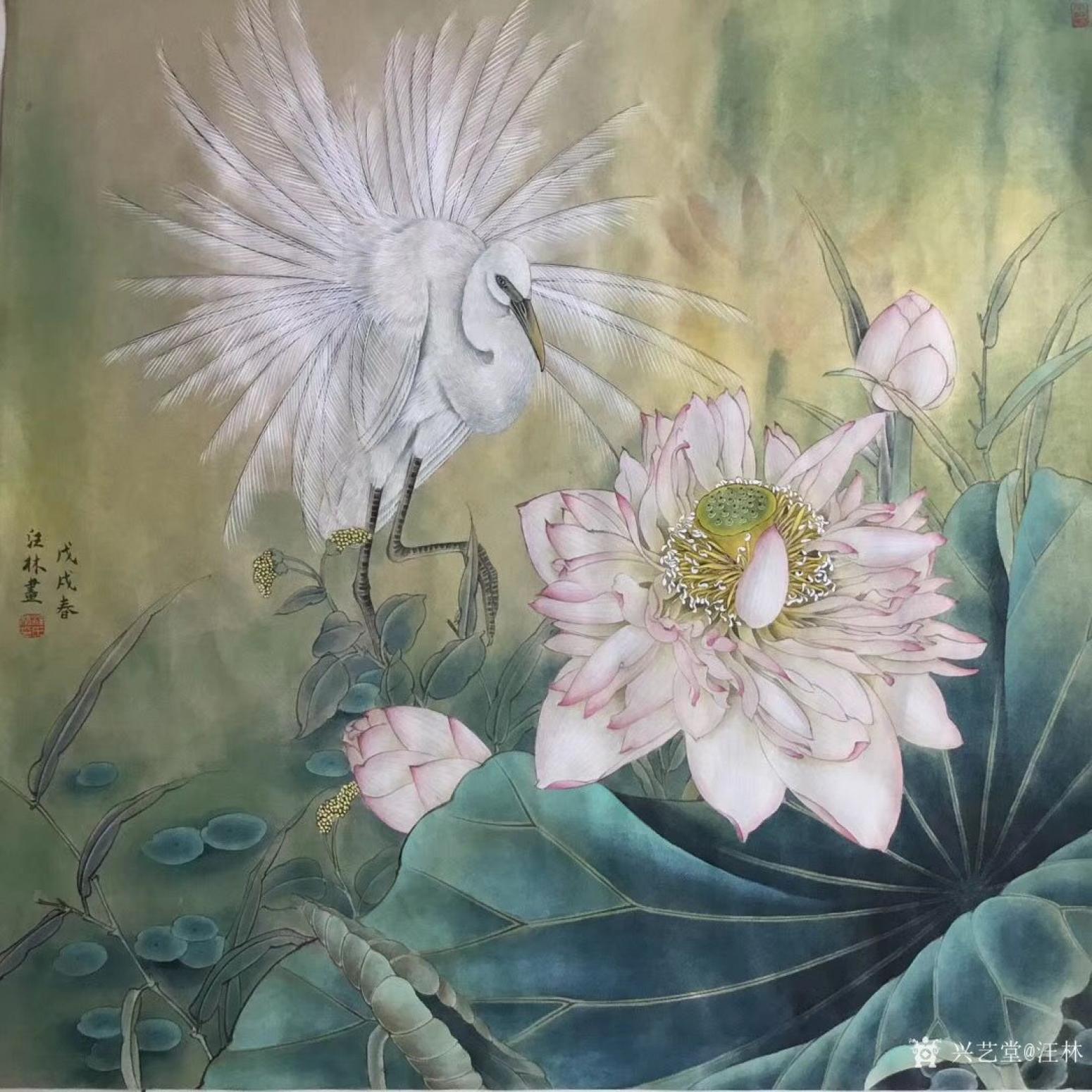 汪林国画作品《荷花白鹭》