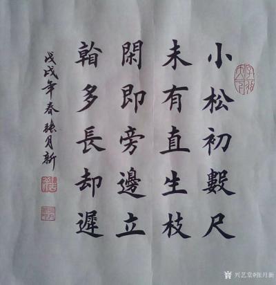 张月新日记-研习了：三五年多体大字榜书，为中国古今书坛增添了一些罕见顶级极品真迹面世的榜书（【图1】