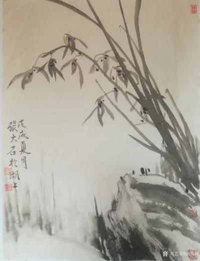 张大石日记-分享几幅国画山水花鸟小品画《兰草》
溪水长涵幽草芳，春溪露滴兰叶光。美人日暮采【图1】