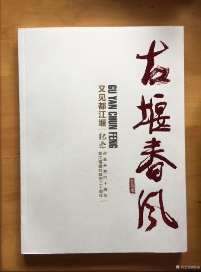 杨凌荣誉-我的新写实国画参加古堰春风画展。【图9】