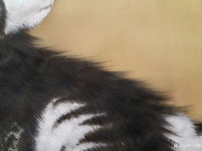 马晓薇日记-多年不画动物，尝试用绢画，感觉更细腻，【图8】