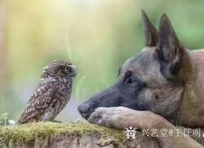 王征明日记-照片可以在瞬间反映人性的一面，绘画给人提供表现思想的工具，艺术则予人更深的思考…【图3】