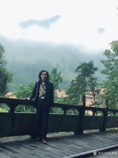 朱德茂日记-今登上天目山。不忘初心，登高望远。今作《兰和竹静》图，书《初心》。
孤兰生幽园【图3】