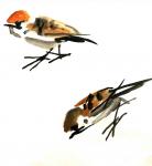 甘庆琼日志-清华大学美术学院中国书画名家专项课题高级研修班*甘庆琼工作室【图2】