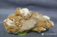 艺术家杨增超收藏:白灵玉石的魅力！特喜欢。黄壳白灵玉石，已绝迹的石种，难得一见【图4】