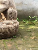 艺术家明清古艺收藏:石雕：瑞兽
瑞兽又称为祥瑞，神态威猛，蹲坐在莲花座上，威武【图3】