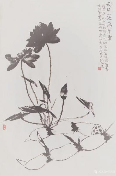 邹高昆日记-国画花鸟画《又见一池藕花香》
燕京学院曲池， 新种荷花 ，初夏吐叶 ，犹闻莲香【图1】