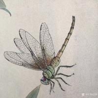 艺术家汪林日记:工笔花鸟画《翠竹蜻蜓》，尺寸50x50cm，配局部图，敬请欣【图1】