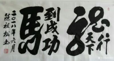 陈祖松日记-龙行天下马到成功【图1】