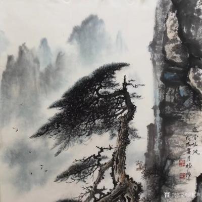 罗树辉日记-国画山水画新作欣赏《道骨仙风》，悬崖峭壁之上，还有谁能如此雄姿英发？苍松精神才是【图3】