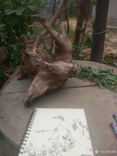 徐能凯日记-感受小院宁静，写枯木神韻。【图3】