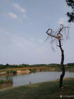 艺术家赵永利日记:南京市美协组织的高淳写生培训交流会，我的写生作品。在创作基地【图2】