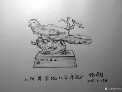 杨增超日记-奇石瓷画艺术作品《秋山叶红》，附近日创意设计图纸，《雪莲花》，《凤落宝地》，《层【图4】
