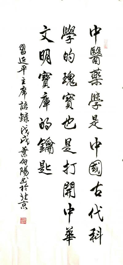 叶向阳日记-艺田笔耕:书法作品《百川归海》，《習近平主席语录》“中医药学是中医古代科学的瑰宝【图2】