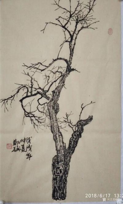 郑诚日记-枯树写生作品欣赏。
人生坦坦荡荡清清白白，做事踏踏实实勤勤恳恳，自在就好。【图2】