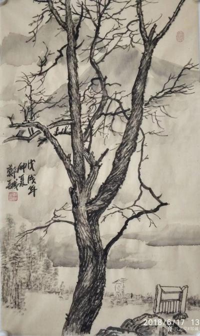 郑诚日记-枯树写生作品欣赏。
人生坦坦荡荡清清白白，做事踏踏实实勤勤恳恳，自在就好。【图5】