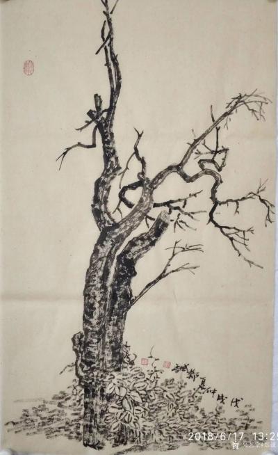 郑诚日记-枯树写生作品欣赏。
人生坦坦荡荡清清白白，做事踏踏实实勤勤恳恳，自在就好。【图6】