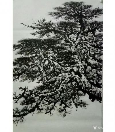 杨振华日记-练笔画苍松虬龙枝，存稿以便品鉴。欢迎大家指正【图1】