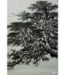 杨振华日志-练笔画苍松虬龙枝，存稿以便品鉴。欢迎大家指正【图1】