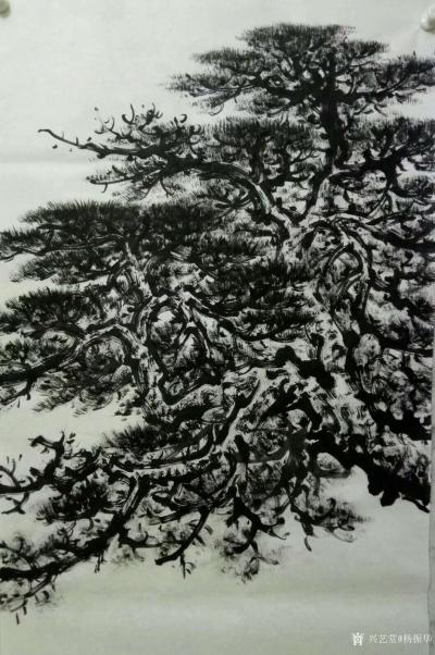 杨振华日记-练笔画苍松虬龙枝，存稿以便品鉴。欢迎大家指正【图2】