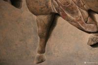 艺术家明清古艺收藏:石板 - 马 32cm 36cm 8cm  青石雕刻，石马肌【图4】