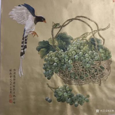 汪林日记-工笔花鸟画新作品《露浓压架葡萄熟 凭栏伫眺待君来》60x60cm【图2】