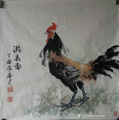 18931266498兴艺空间精选封面动态图片