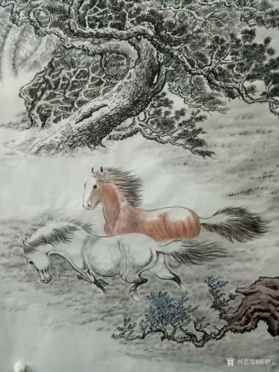 郝鹏云日记-国画动物画～《苍野闲骏》，六尺整张。纸质，温州皮纸熟宣。前几天画的。【图4】