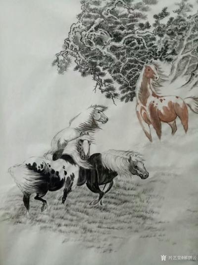 郝鹏云日记-国画动物画～《苍野闲骏》，六尺整张。纸质，温州皮纸熟宣。前几天画的。【图5】