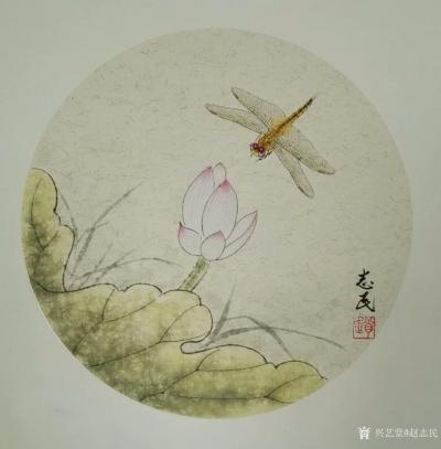 赵志民日记-工笔画蜻蜓：《小荷才露尖尖角，早有蜻蜓立上头。》尺寸（45*45厘米），请欣赏品【图3】