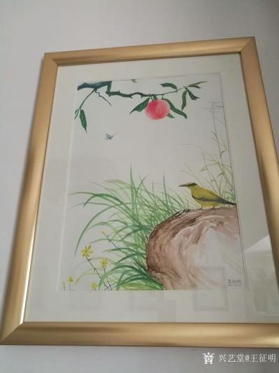 王征明日记-　绘画自产生洎今依然是少数人的世界，绘画的基本功能（美观）依然维持原状。古话说仓【图2】