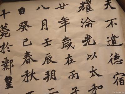 陈文斌日记-习作！【图1】