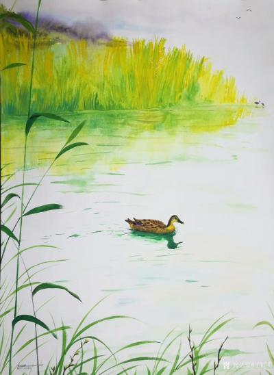 王征明日记-水意画新作《野鸭》
鸂鶒借毛衣，
喧呼鹰隼稀。
云披菱藻地，
任汝作群飞【图1】
