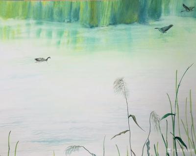 王征明日记-水意画新作《野鸭》
鸂鶒借毛衣，
喧呼鹰隼稀。
云披菱藻地，
任汝作群飞【图2】