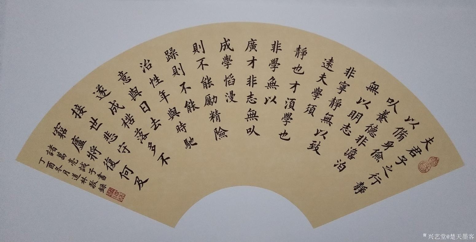 刘道林书法作品《诸葛亮戒子书》