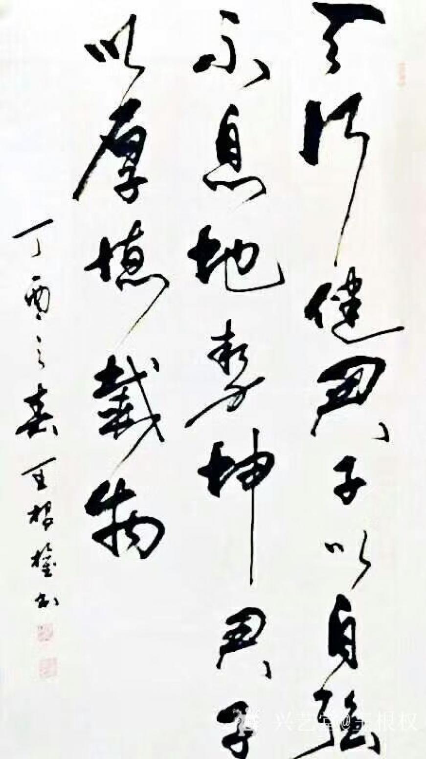 王根权书法作品《天行健》