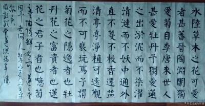 冯军涛日记-周敦颐爱莲说【图1】