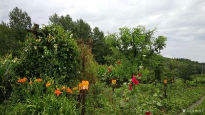 杨牧青日记-杨牧青：科学实证+玄灵思维是认知人类上古文化的基本方法——让上古文化有生命的延续【图2】