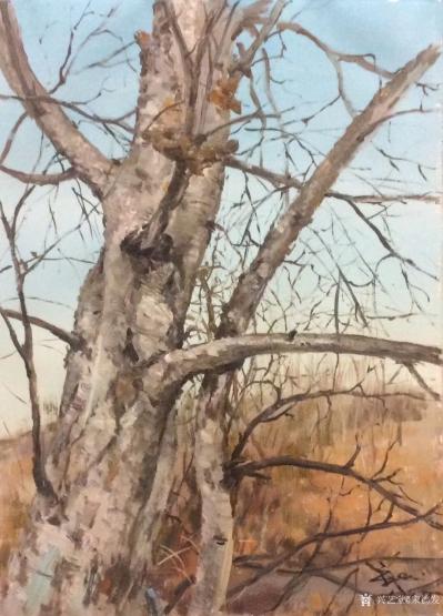 宋德发日记-水粉画小树林写生系列作品5幅，展示大自然的法则【图1】