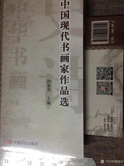 梅丽琼日记-由何家英主编，（苏士澍注）中国言实出版社出版的《中国现代书画家作品选》今日到我画【图1】