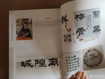 梅丽琼日记-由何家英主编，（苏士澍注）中国言实出版社出版的《中国现代书画家作品选》今日到我画【图6】