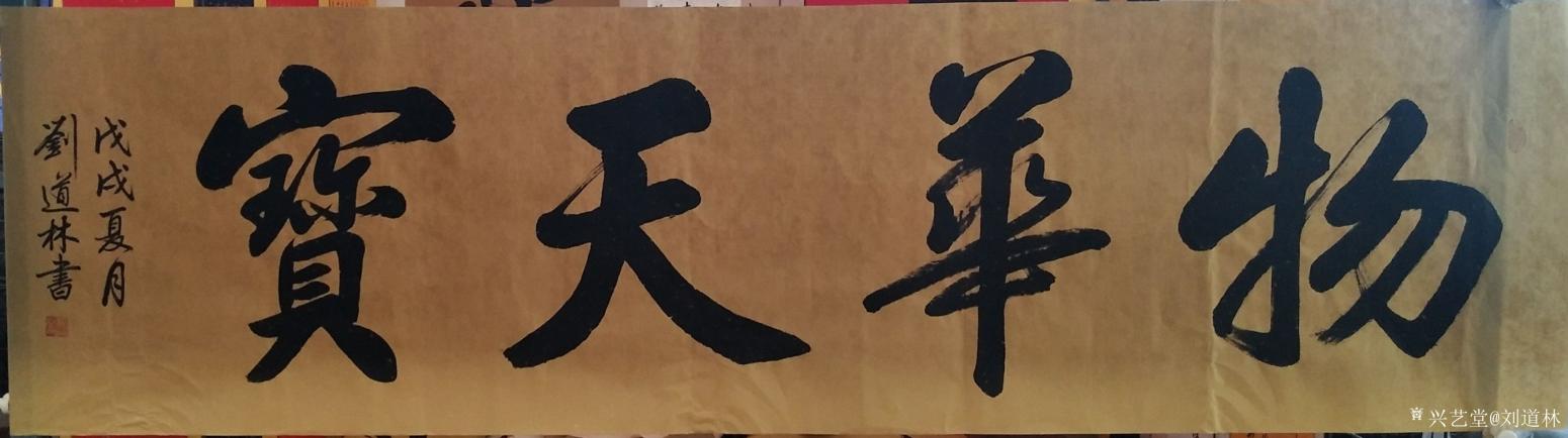 刘道林书法作品《物华天宝》