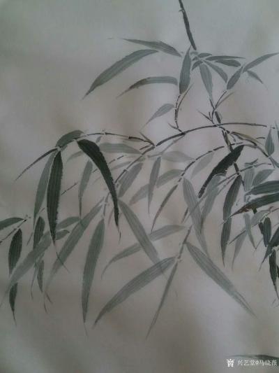 马晓薇日记-《新篁图》，静物写生作品，对比实物，韵在哪里【图4】