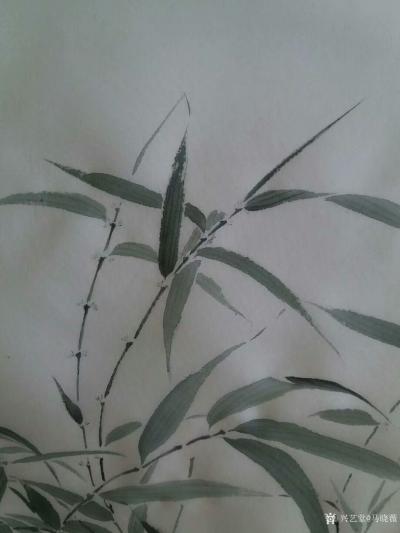 马晓薇日记-《新篁图》，静物写生作品，对比实物，韵在哪里【图6】
